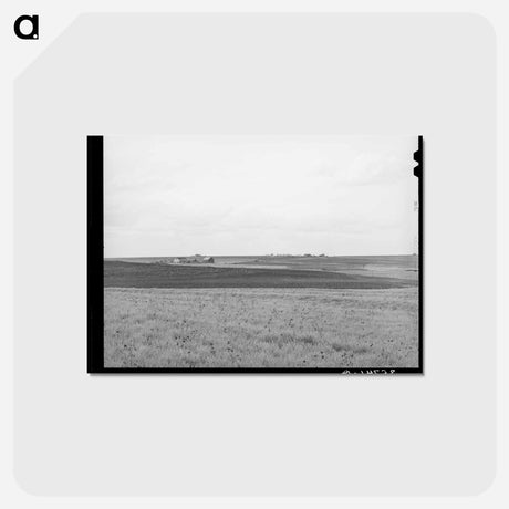 アートポストカード-Texas Waxy Prairie
 - ラッセル リー Postcard.