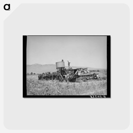 アートポストカード-Combine Team, Box Elder County
 - ラッセル リー Postcard.