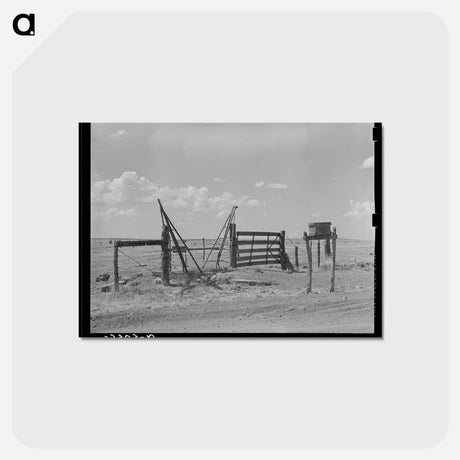 アートポストカード-Cattle Guard Gate and Mail Box on Ranch
 - ラッセル リー Postcard.