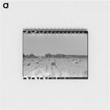 アートメモ帳-Cranes in Rice Field
 - ラッセル リー Memo.