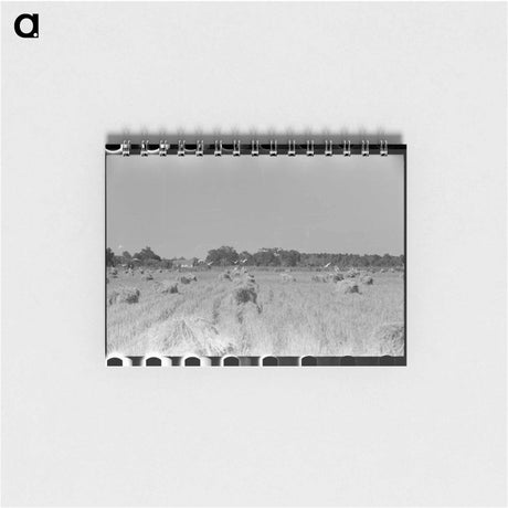 アートメモ帳-Cranes in Rice Field
 - ラッセル リー Memo.