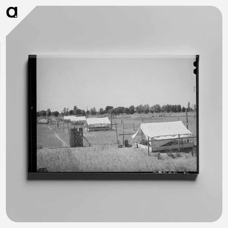 アートパネル-Brooder Tents for Chickens
 - ラッセル リー Canvas.