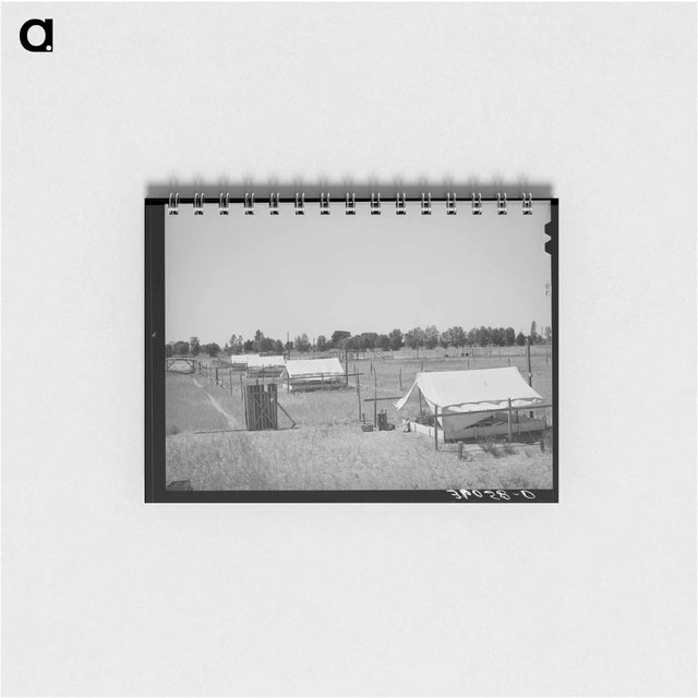 アートメモ帳-Brooder Tents for Chickens
 - ラッセル リー Memo.