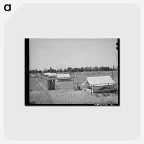 アートポストカード-Brooder Tents for Chickens
 - ラッセル リー Postcard.