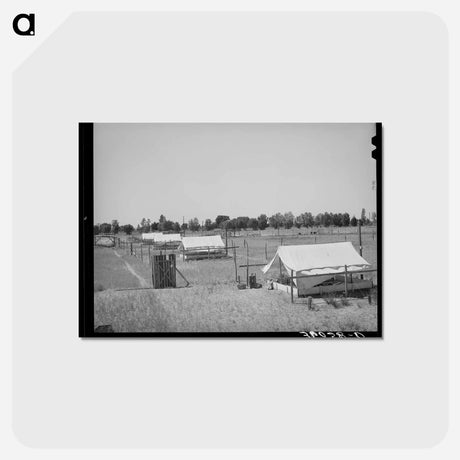 アートポストカード-Brooder Tents for Chickens
 - ラッセル リー Postcard.