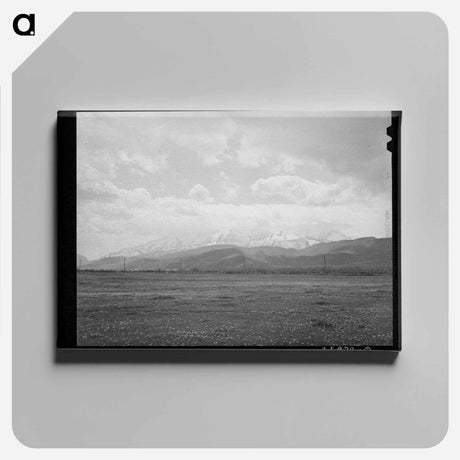 アートパネル-Heber Spring Pasture
 - ラッセル リー Canvas.