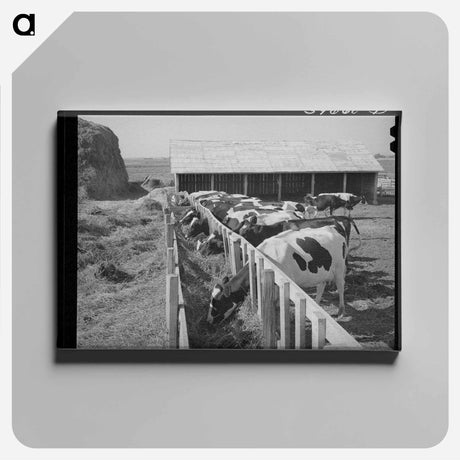アートパネル-Cows on a Cooperative Farm
 - ラッセル リー Canvas.