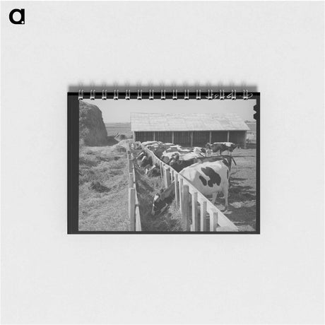 アートメモ帳-Cows on a Cooperative Farm
 - ラッセル リー Memo.