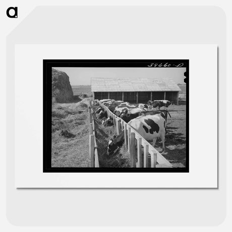 アートポスター-Cows on a Cooperative Farm
- ラッセル リー Poster.