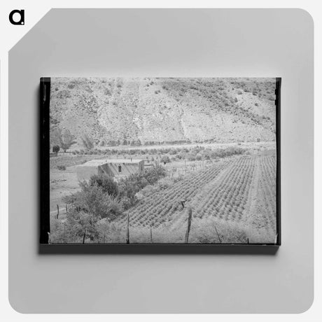 アートパネル-Adobe House and Chili Pepper Field
 - ラッセル リー Canvas.
