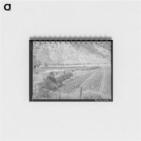 アートメモ帳-Adobe House and Chili Pepper Field
 - ラッセル リー Memo.