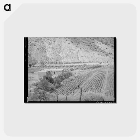 アートポストカード-Adobe House and Chili Pepper Field
 - ラッセル リー Postcard.