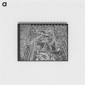 アートメモ帳-Chopping Wood
 - ラッセル リー Memo.