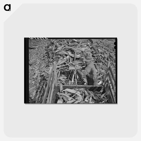 アートポストカード-Chopping Wood
 - ラッセル リー Postcard.