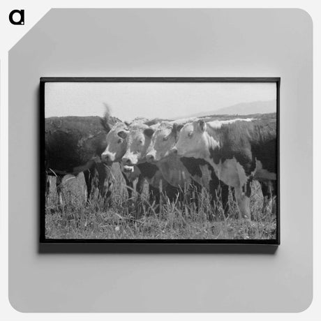 アートパネル-Cruzen Ranch Beef
 - ラッセル リー Canvas.