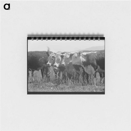 アートメモ帳-Cruzen Ranch Beef
 - ラッセル リー Memo.