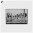 アートポストカード-Oklahoma Laundry
 - ラッセル リー Postcard.