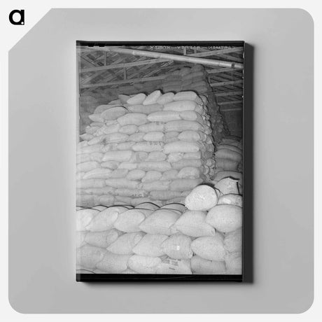 アートパネル-Peanut Shell Feed
 - ラッセル リー Canvas.
