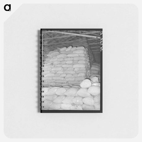 アートメモ帳-Peanut Shell Feed
 - ラッセル リー Memo.