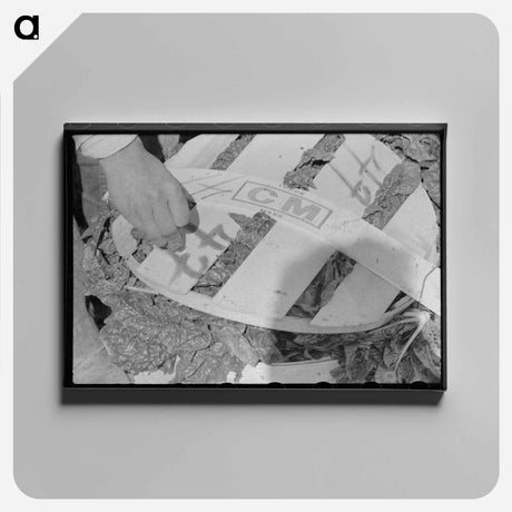 アートパネル-Spinach Cutter of La Pryor
 - ラッセル リー Canvas.