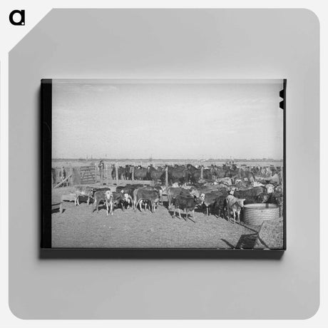 アートパネル-Rodeo Livestock, San Angelo
 - ラッセル リー Canvas.