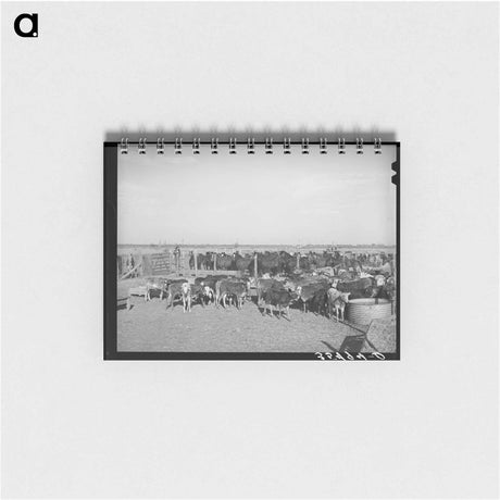 アートメモ帳-Rodeo Livestock, San Angelo
 - ラッセル リー Memo.