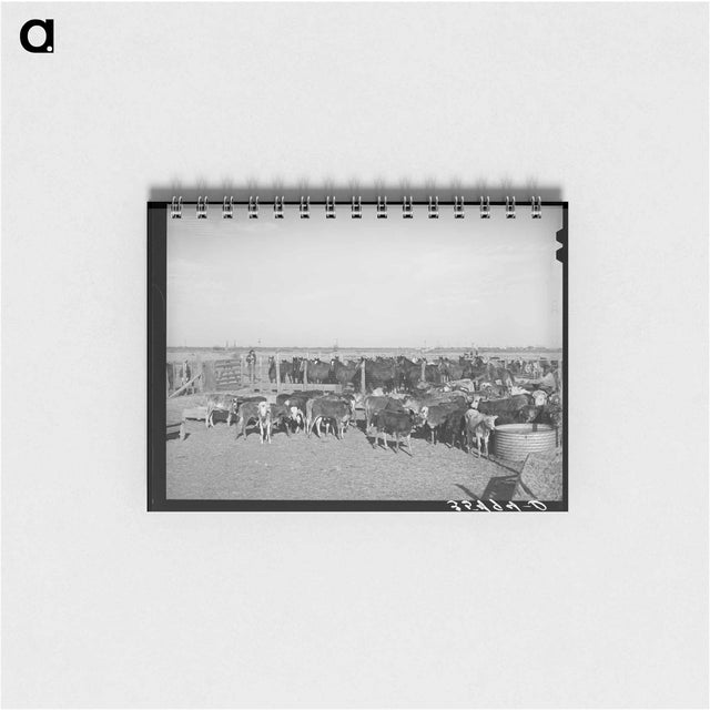 アートメモ帳-Rodeo Livestock, San Angelo
 - ラッセル リー Memo.