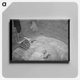 アートパネル-Bed in Mexican Home
 - ラッセル リー Canvas.