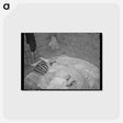 アートポストカード-Bed in Mexican Home
 - ラッセル リー Postcard.