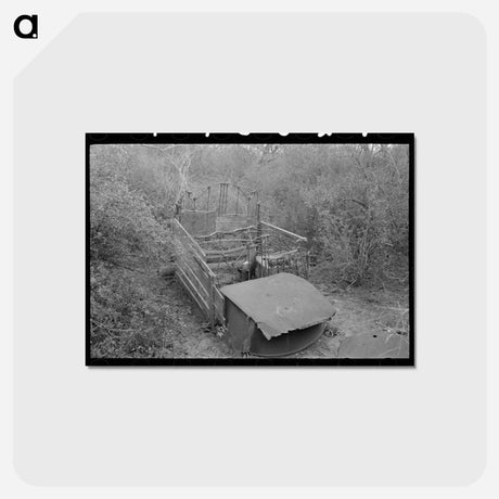 アートポストカード-Pigpen in White Migrant Camp
 - ラッセル リー Postcard.