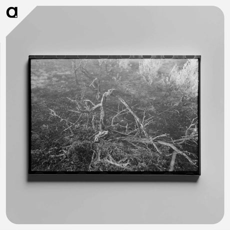 アートパネル-Grass Fire, Malheur County, Oregon
 - ラッセル リー Canvas.
