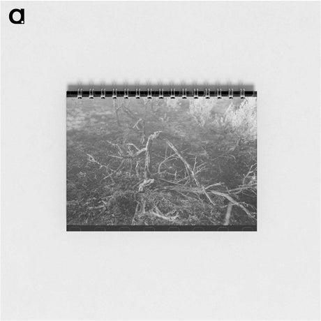 アートメモ帳-Grass Fire, Malheur County, Oregon
 - ラッセル リー Memo.