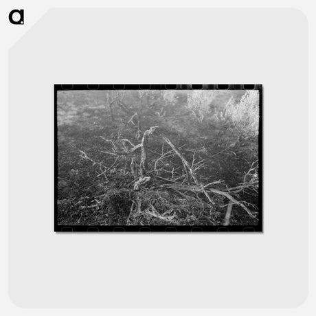 アートポストカード-Grass Fire, Malheur County, Oregon
 - ラッセル リー Postcard.