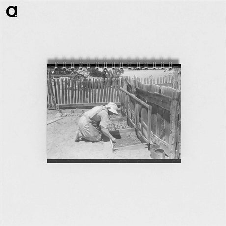 アートメモ帳-Mrs. Hutton's Seedbed
 - ラッセル リー Memo.