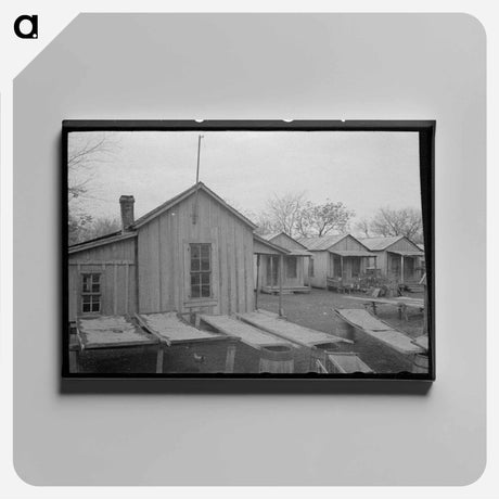 アートパネル-Pecan Drying, San Antonio
 - ラッセル リー Canvas.