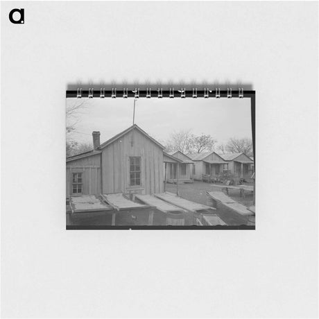 アートメモ帳-Pecan Drying, San Antonio
 - ラッセル リー Memo.