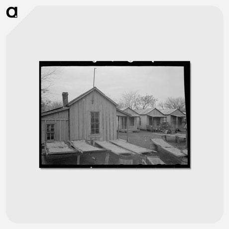 アートポストカード-Pecan Drying, San Antonio
 - ラッセル リー Postcard.
