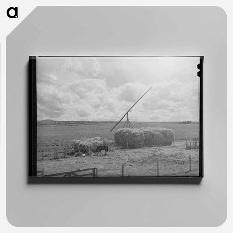 アートパネル-Hay on Idaho Farm
 - ラッセル リー Canvas.