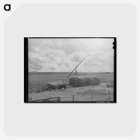 アートポストカード-Hay on Idaho Farm
 - ラッセル リー Postcard.
