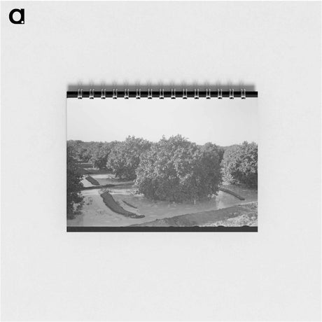 アートメモ帳-Citrus Grove Irrigation
 - ラッセル リー Memo.