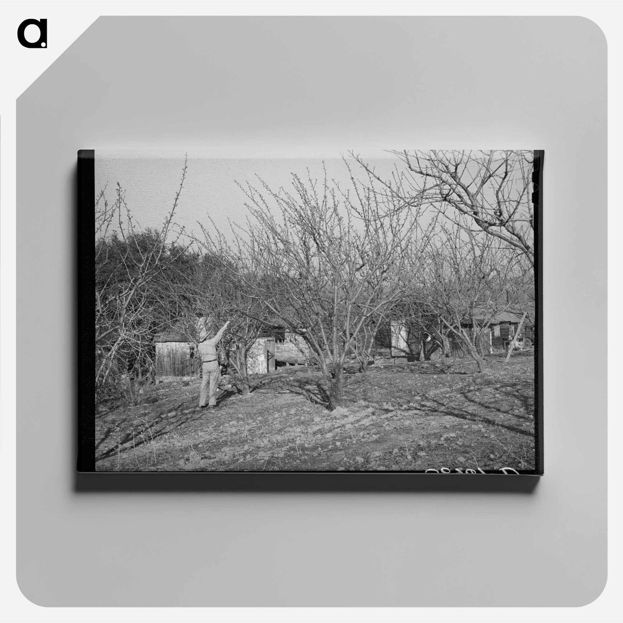 アートパネル-Pruning Fruit Trees
 - ラッセル リー Canvas.