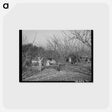 アートポストカード-Pruning Fruit Trees
 - ラッセル リー Postcard.