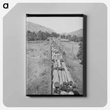 アートパネル-Logging Train, Spalding Junction
 - ラッセル リー Canvas.