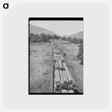 アートポストカード-Logging Train, Spalding Junction
 - ラッセル リー Postcard.