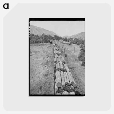 アートポストカード-Logging Train, Spalding Junction
 - ラッセル リー Postcard.