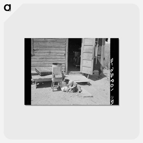 アートポストカード-Mathews Child and Pig
 - ラッセル リー Postcard.