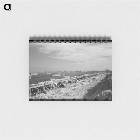 アートメモ帳-Mass Feeding of Cows
 - ラッセル リー Memo.