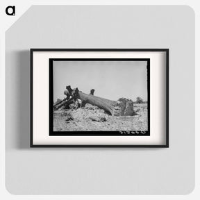 アートポスター-Felled Oak, Southeast Missouri
 - ラッセル リー Poster.