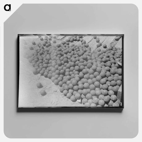 アートパネル-Ballmill Balls, Mogollon
 - ラッセル リー Canvas.