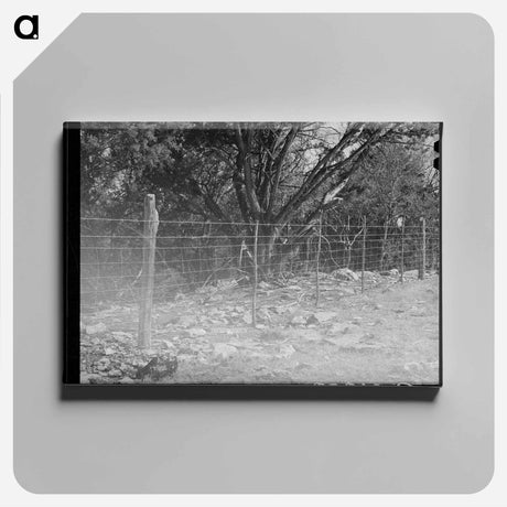 アートパネル-Sheep- and Goat-Proof Fence
 - ラッセル リー Canvas.